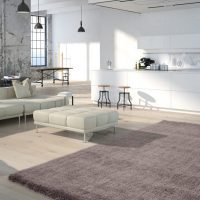 par400plat_amb-1-1030x673
