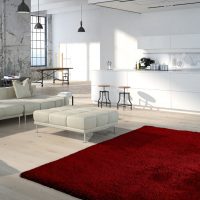 san650bord_amb