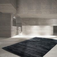wel580anth_amb-1030x773