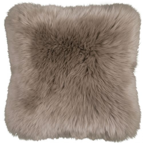 Cos1165taup_top